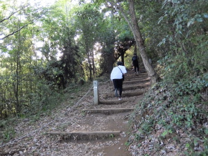 プチ登山